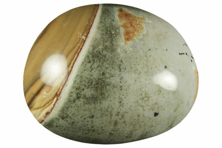 Polished Polychrome Jasper Palm Stone - Madagascar #217861
